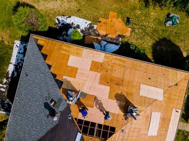 Quick and Trustworthy Emergency Roof Repair Services in Coral Springs, FL