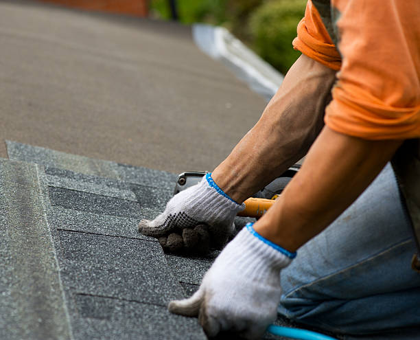 Roof Gutter Cleaning in Coral Springs, FL